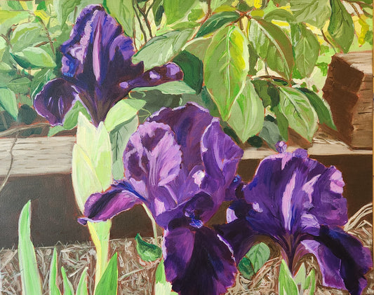 Sunshine in Purple
