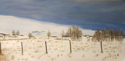 Chinook Sky