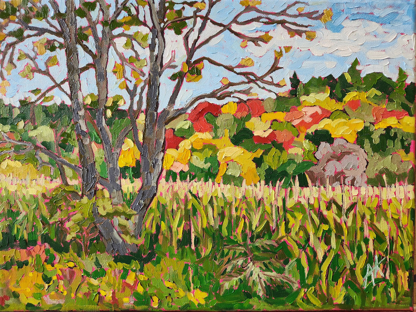 Fields of Autumn