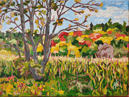 Fields of Autumn