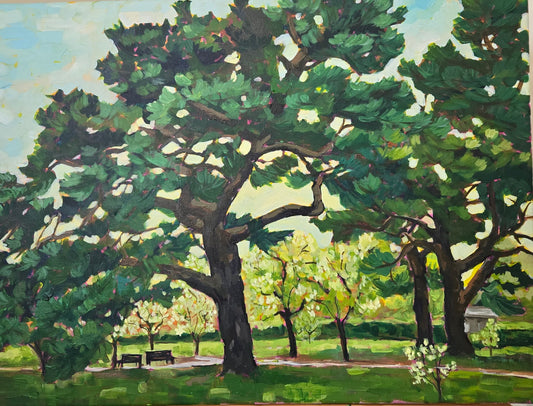 Old Pine