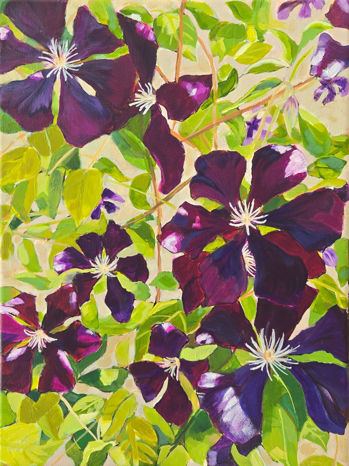 Violet Tangle
