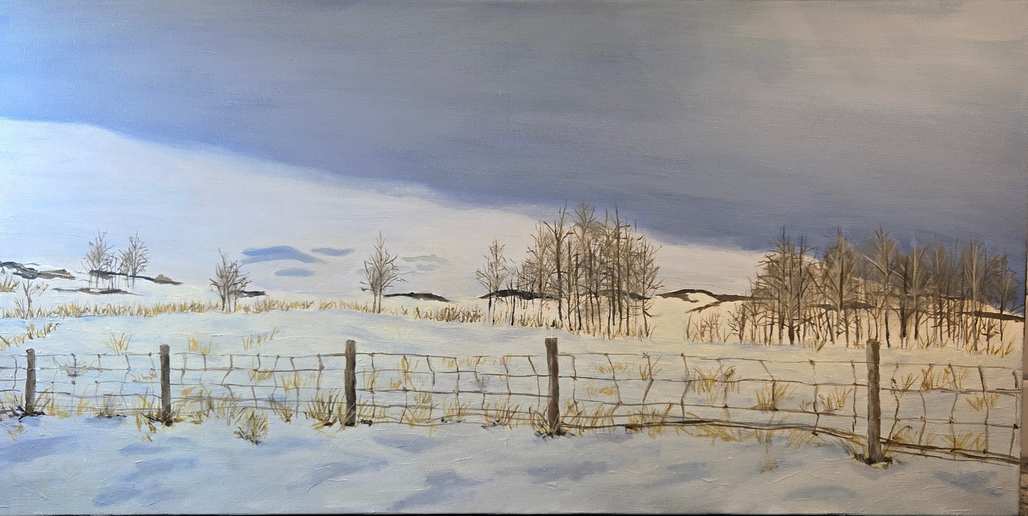 Chinook Sky