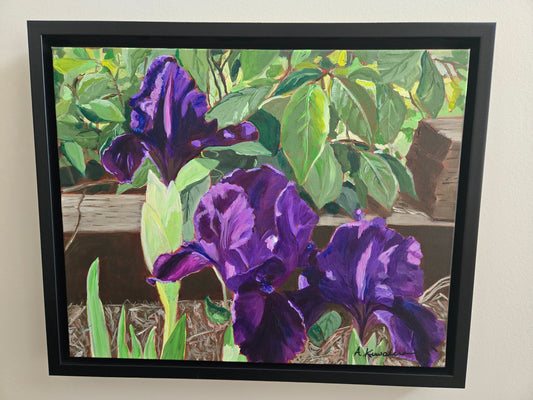 Irises