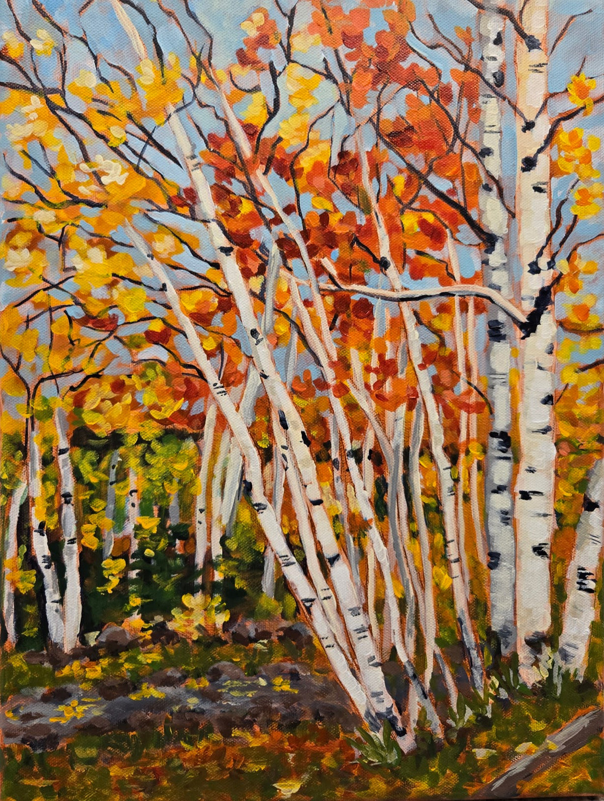 Fall Birch