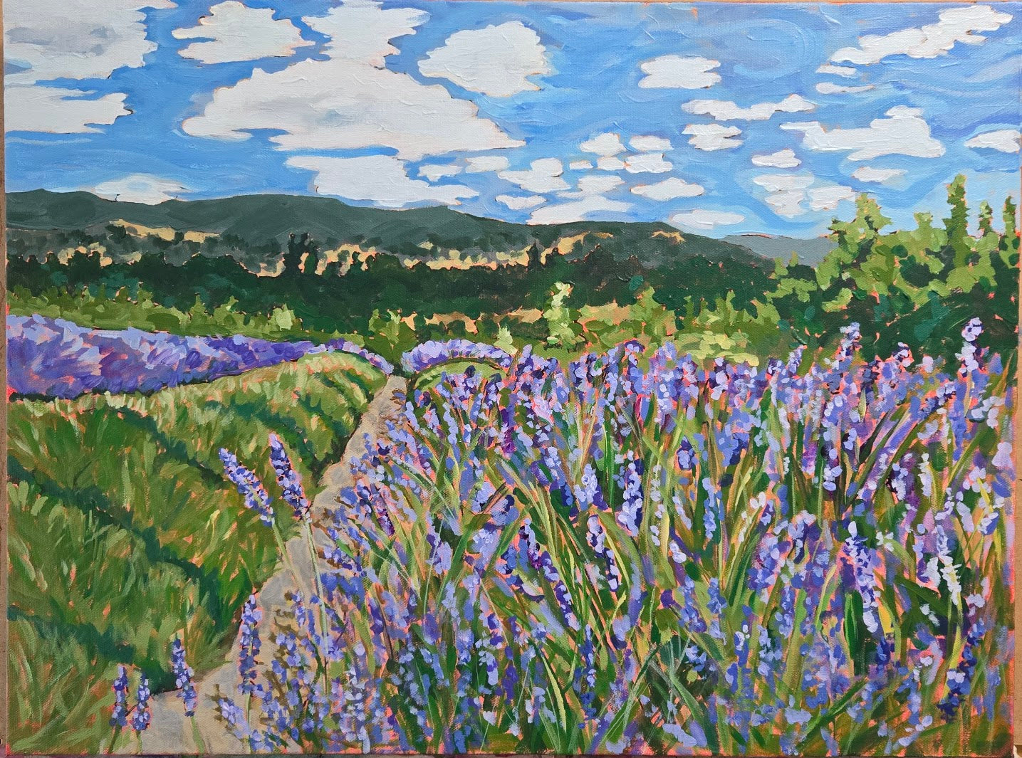 Lavender Field