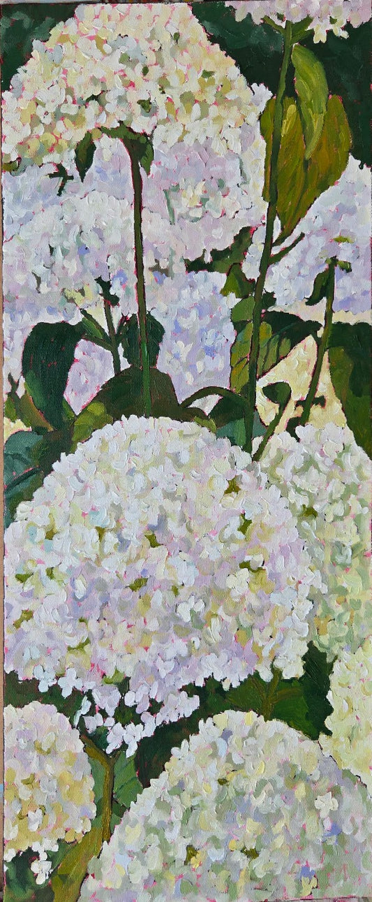 Where Hydrangeas Gather